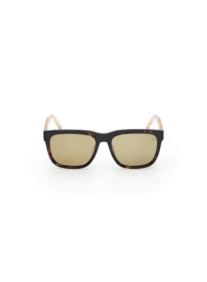تمبرلاند wayfarers sunglasses