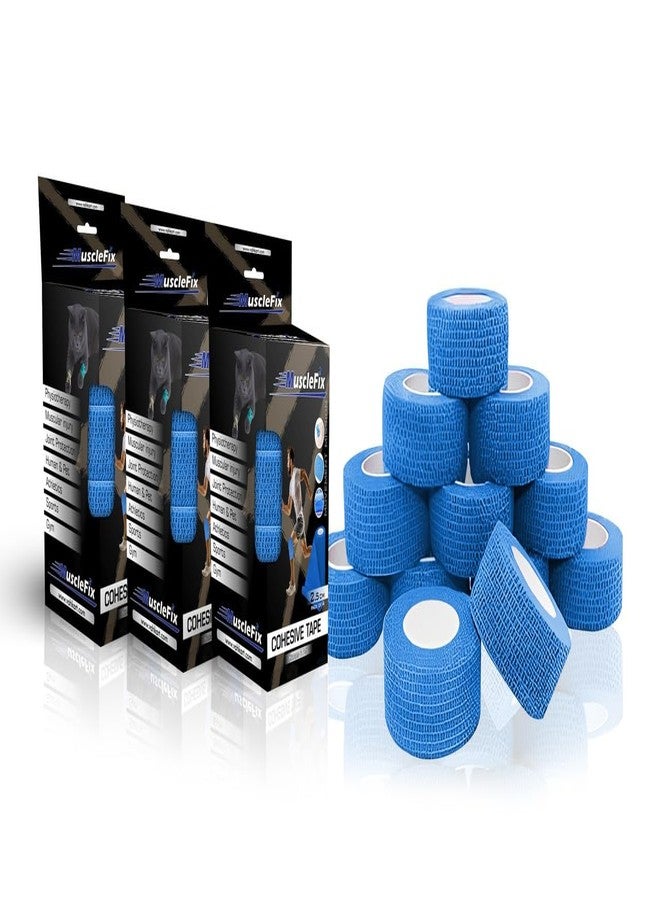 AGAM MuscleFix Breathable Self Adhesive Wrap, Athletic, Non Woven Cohesive Bandage - for Sports, First Aid Medical, Wrist, Swelling (2.5 cm X 4.5 mtr- Pack of 12) (Blue) - Image 1