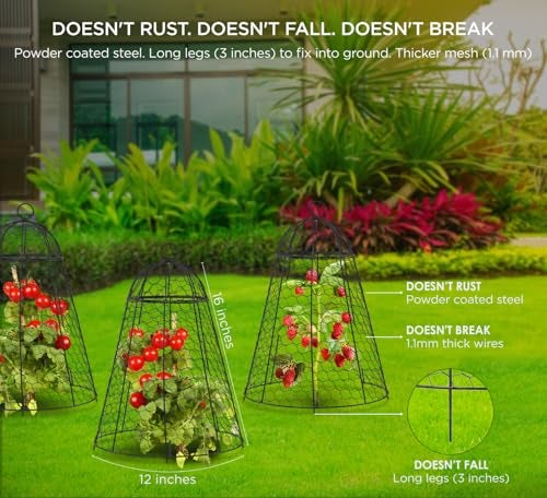 boldworks Garden Cloches for Plants Chicken Wire Cages to Protect from Animals Outdoor Extra Large Rustproof Thicker and Finer Mesh 12" x 20" Pack of 6 - Image 2