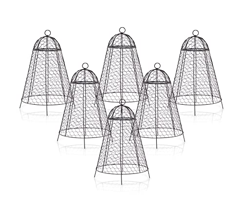 boldworks Garden Cloches for Plants Chicken Wire Cages to Protect from Animals Outdoor Extra Large Rustproof Thicker and Finer Mesh 12" x 20" Pack of 6 - Image 1