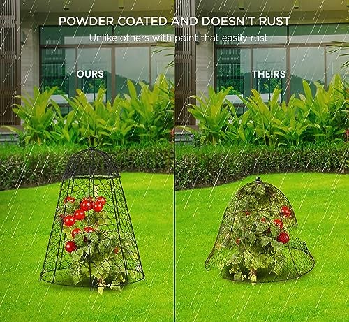 boldworks Garden Cloches for Plants Chicken Wire Cages to Protect from Animals Outdoor Extra Large Rustproof Thicker and Finer Mesh 12" x 20" Pack of 6 - Image 4