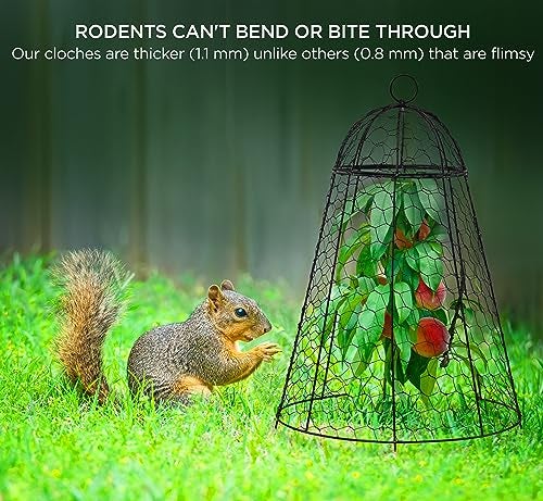 boldworks Garden Cloches for Plants Chicken Wire Cages to Protect from Animals Outdoor Extra Large Rustproof Thicker and Finer Mesh 12" x 20" Pack of 6 - Image 5