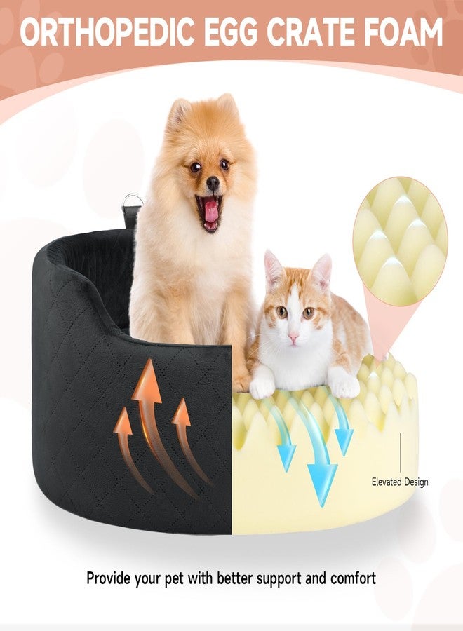 Feporen Dog Car Seat for Small & Medium Dogs, Elevated Booster Seat, Detachable and Washable Pet Dogs Up to 35lbs, Travel Bed with Thick Memory Foam Front Back Seats - Black - Image 2
