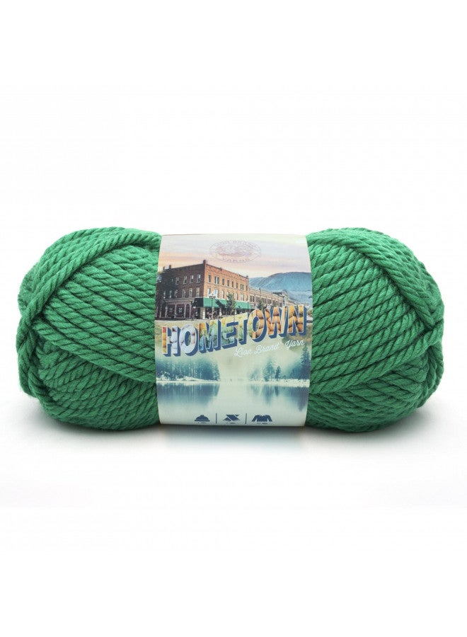 Lion Brand Yarn Hometown Yarn, Bulky Yarn, Yarn for Knitting and Crocheting, 1-Pack, Green Bay - Image 1