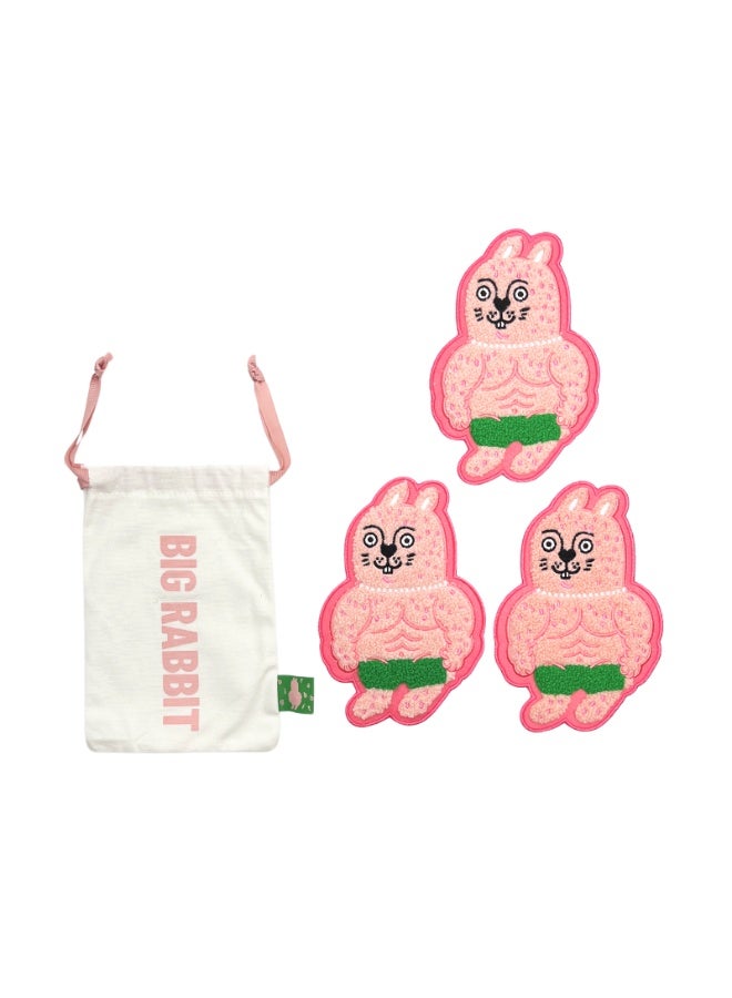 استوديو رو يو مجموعة 3 دوارات تحت الأكواب مع حقيبة تخزين، مجموعة دوارات ناعمة بتطريز لطيف، زينة منزلية قابلة للتعليق (قط/نمر/أسد/تنين/أرنب) - Image 5