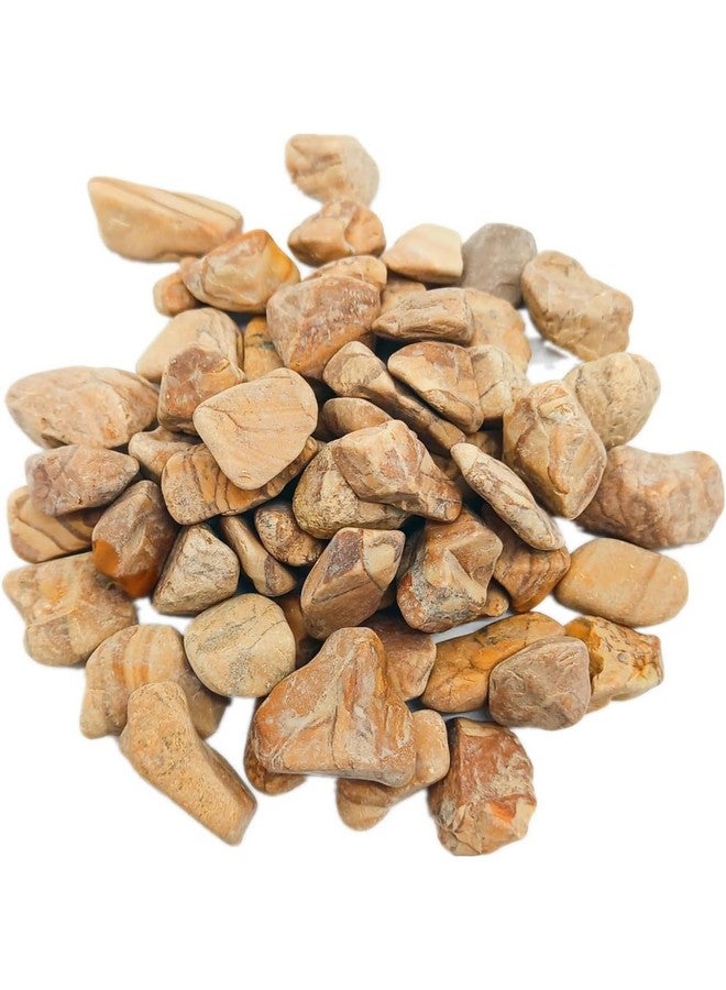 إيميلي بيتس حصى البازلاء، أحجار طبيعية مصقولة صغيرة احترافية لأصيص نباتات البونساي، الخيزران المحظوظ، النباتات العصارية، أحواض السمك، تيراريوم، الحرف اليدوية للأطفال. (أصفر) - Image 4