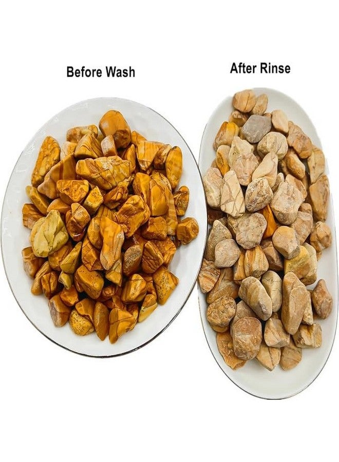 إيميلي بيتس حصى البازلاء، أحجار طبيعية مصقولة صغيرة احترافية لأصيص نباتات البونساي، الخيزران المحظوظ، النباتات العصارية، أحواض السمك، تيراريوم، الحرف اليدوية للأطفال. (أصفر) - Image 5