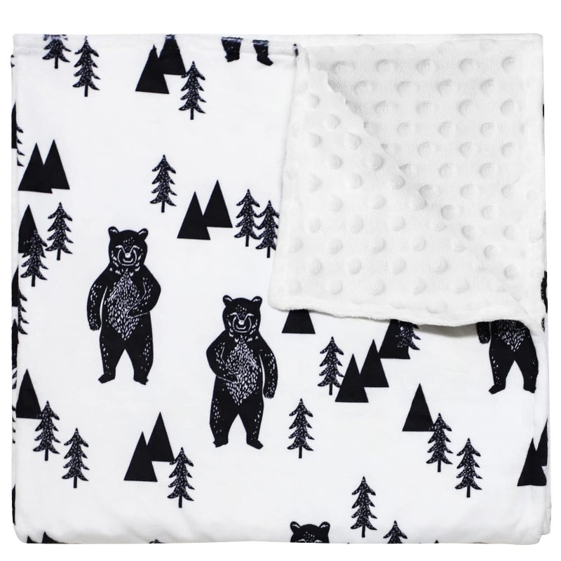 TANOFAR Bear Baby Blankets Minky Toddler Blanket for Boys Girls Dotted Backing Double Layer Crib Receiving Blanket for NurseryStrollerToddler BedCarseat 30 x 40 Inch