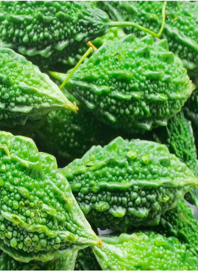80Pcs Bitter Gourd Seeds