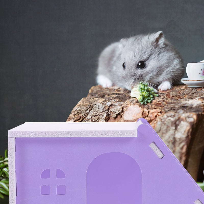🐾 ت صغير للحيوانات الأليفة من في سي متين لهامستر والسناجب منطقة لعب مثالية - Image 3
