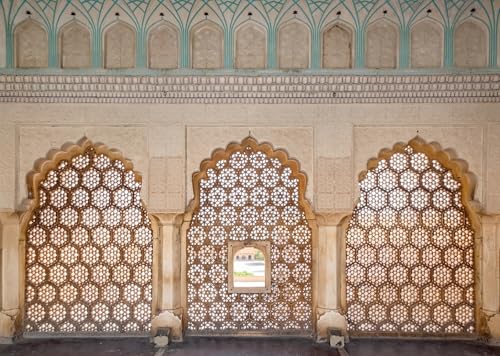 BELECO 7x5ft Fabric Indian Palace Backdrop Delicately Carved Stone, Latticed Screen Amber Palace Background Indian Theme Party Decorations Kids Adults Portrait Photoshoot Studio Props - Image 3