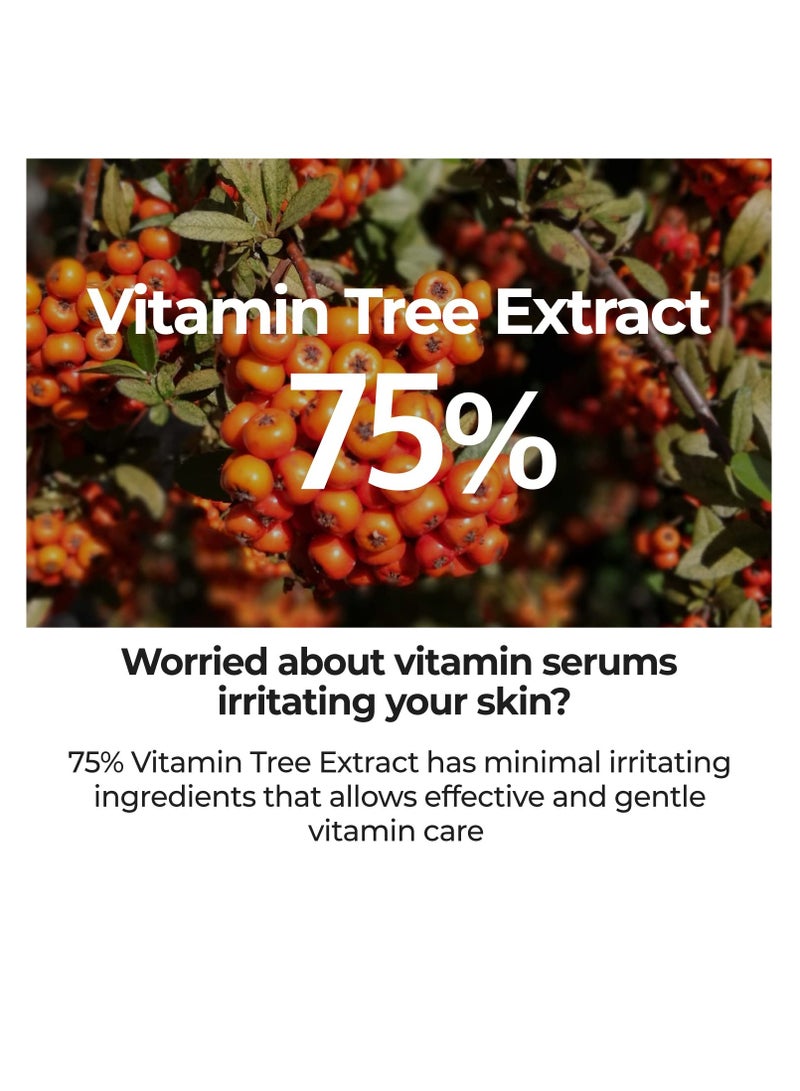 numbuzin numbuzin No.5 goodbye blemish serum vitamin C niacinamide antioxidant dark spots acne scars lightweight gel korean skin care for face 1.69 fl oz  - Image 3