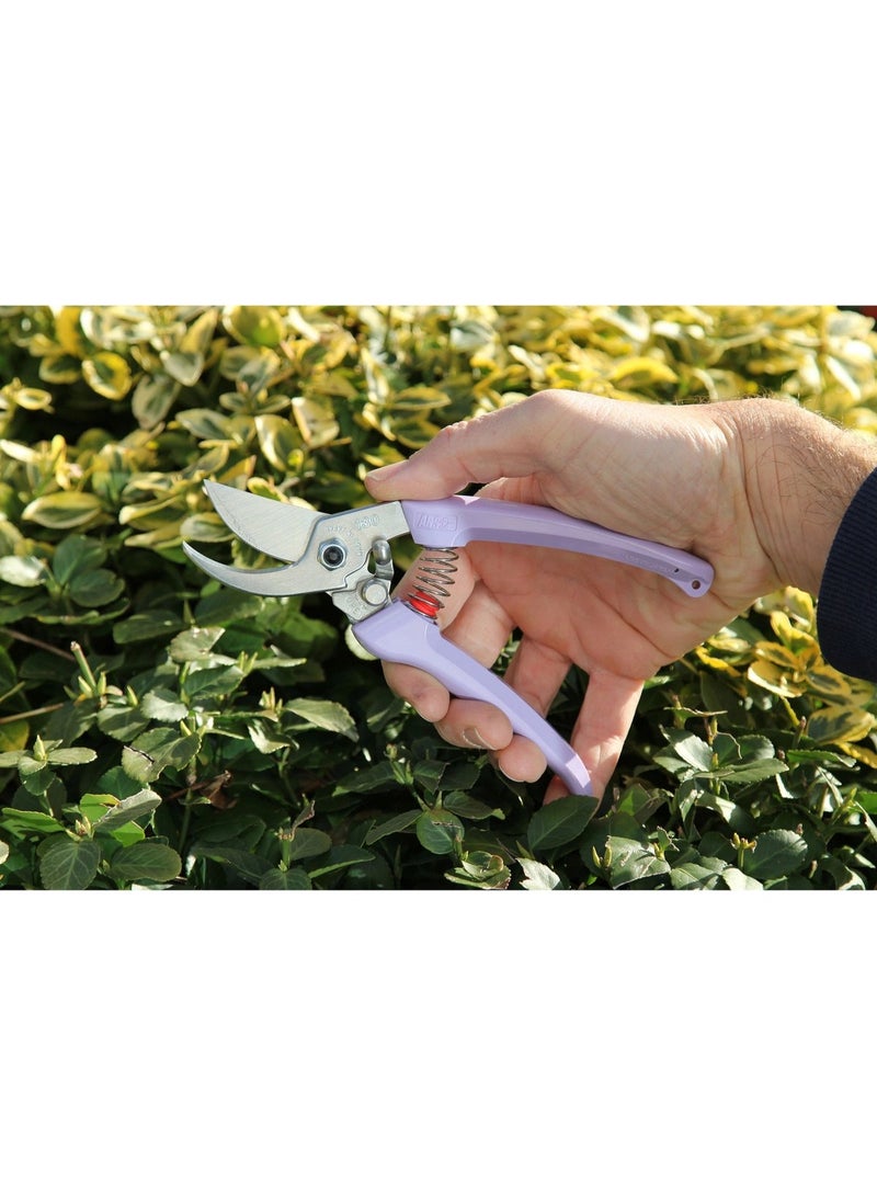 Taiwan Scissors 1831, Hand Gardening Cutter, Professional Garden Scissors with Stainless Steel Blade ,Ultra Sharp Scissors for Trimming, Fruits, Flowers, Plants - Image 1