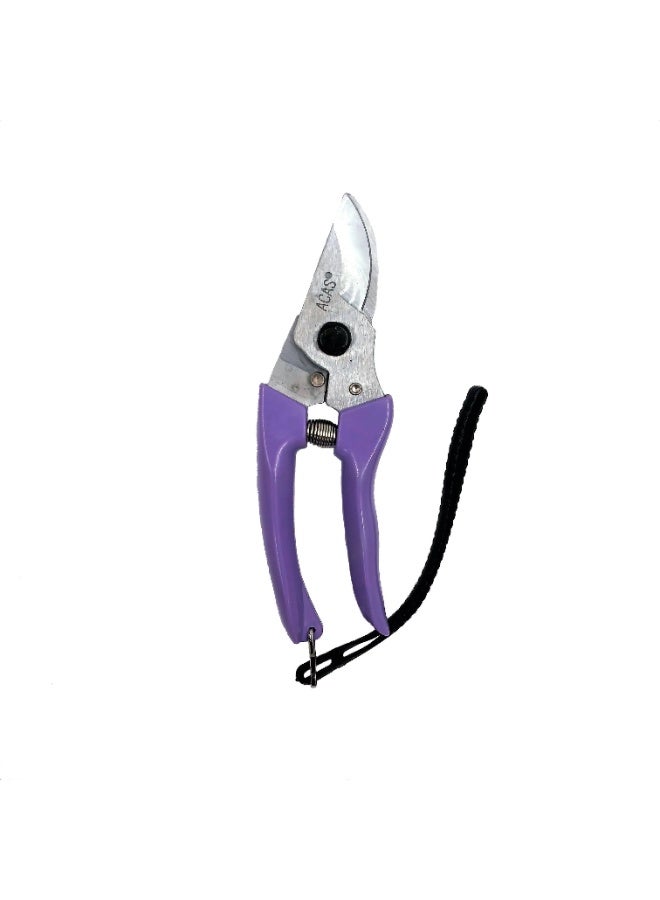Taiwan Scissors 1831, Hand Gardening Cutter, Professional Garden Scissors with Stainless Steel Blade ,Ultra Sharp Scissors for Trimming, Fruits, Flowers, Plants - Image 5