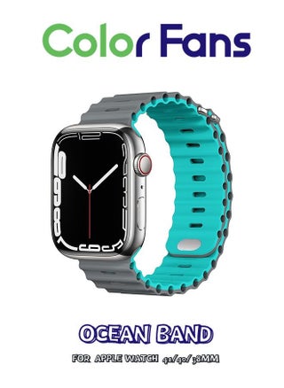 Gray/Teal