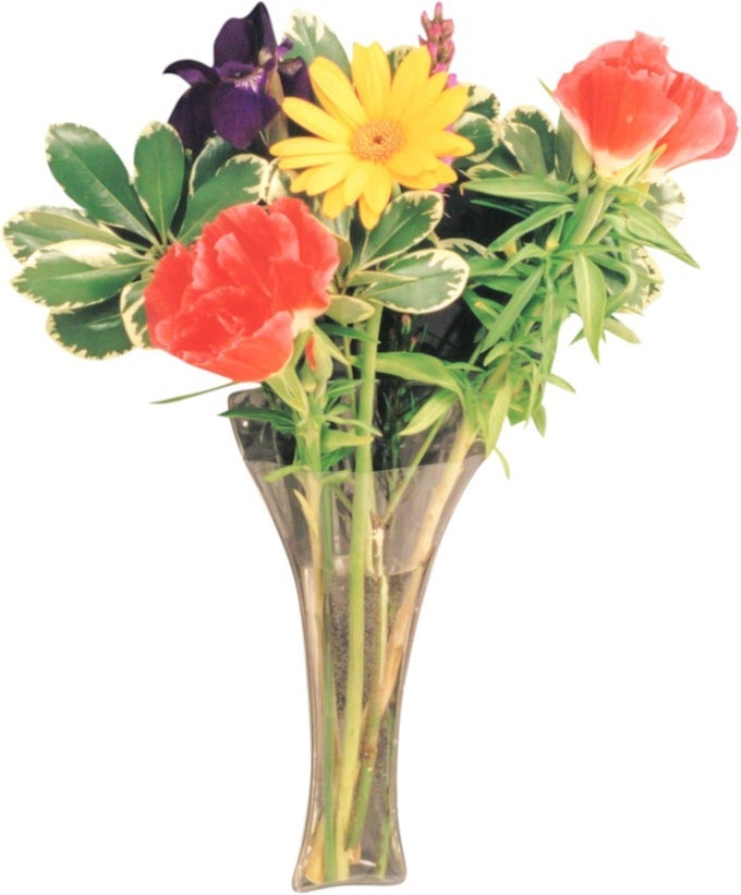 VINYL WINDOW VASE TRUMPET STYLE FLEXIBLE VINYL VASE ATTACHES TO WINDOWS MIRRORS OR OTHER NONPOROUS SURFACES WITH SUCTION CUPS VASE HOLDS A BOUQUET OF FLOWERS WATER GREENERY