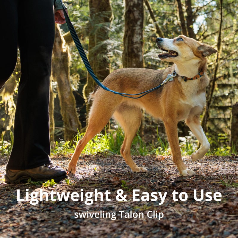 Ruffwear, Roamer Bungee Dog Leash for Running, Biking or Hiking, Can be Used Hand-Held or Hands-Free, Yellow Snow, 5.5'-7' - Image 5