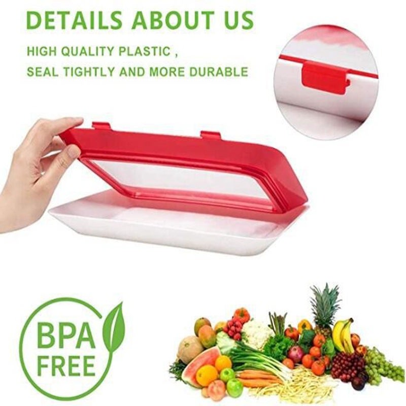 Spot Creative Vacuum Preservation Tray Creave Fod Presentation Try Environmental Protection Tray - Image 4