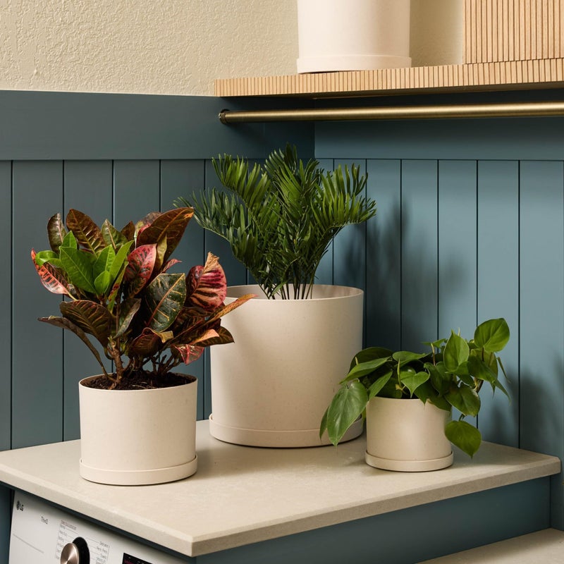 Bloem Mathers 8" Vanilla Bean Round Modern Resin Garden Planter Pot with Drainage Holes and Removable Saucer Tray Included - Image 4