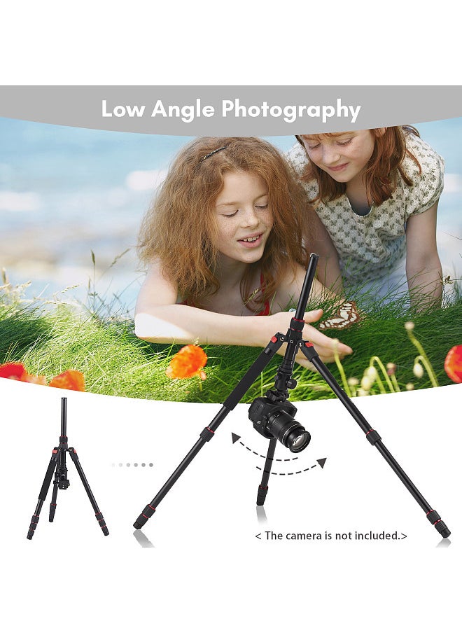 ANDOER - Andoer 153cm/60in Portable Camera Tripod Stand Aluminum Alloy with Detachable Monopod 360°Rotatable Ball Head 10kg/22lbs Load Capacity with Carry Bag for DSLR Camera Camcorder Smartphone - Image 1