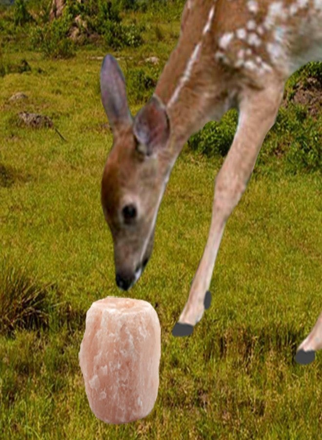 MUYG 2 Pack Himalayan Salt Lick Natural Minerals Block on Rope for Horses,Cattles,Deer,Goat and Other Livestock Long Lasting Original Pink Salt Lick (4.8-6.6 lbs) - Image 5