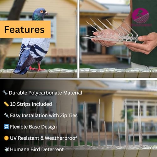 Divayanshi Bird Spikes for Pigeon Control – Durable Polycarbonate & Stainless Steel Deterrent Strips, Prevents Birds from Roosting on Ledges, Roofs & Balconies- Pack of 5 - Image 2