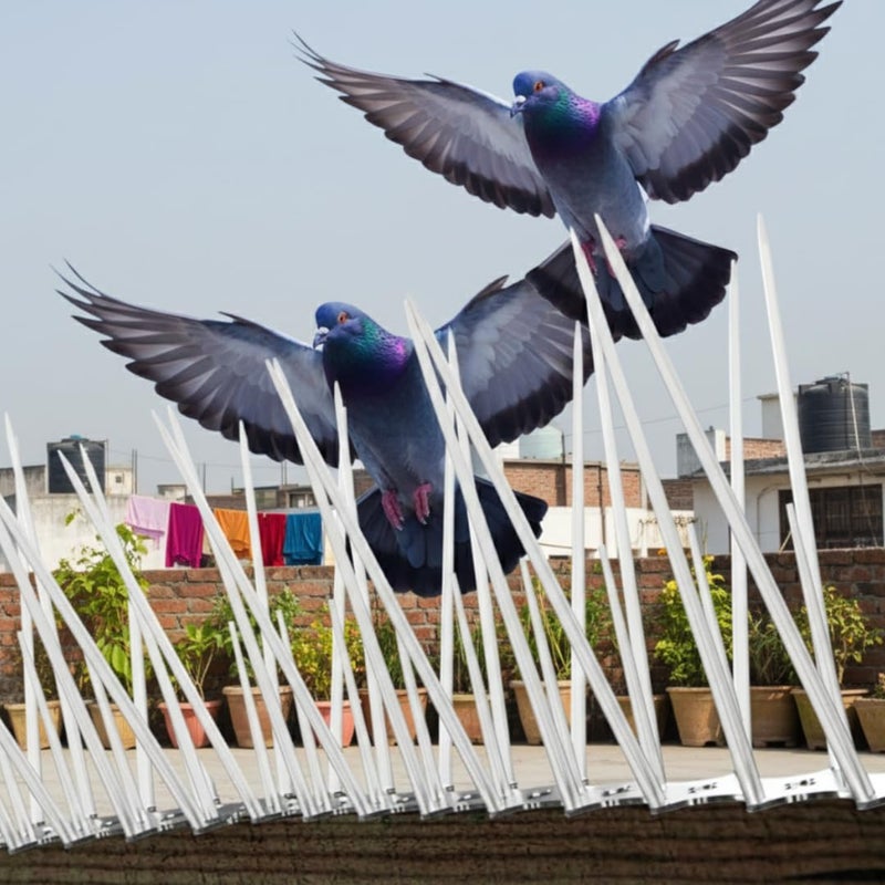 Divayanshi Bird Spikes for Pigeon Control – Durable Polycarbonate & Stainless Steel Deterrent Strips, Prevents Birds from Roosting on Ledges, Roofs & Balconies- Pack of 5 - Image 5