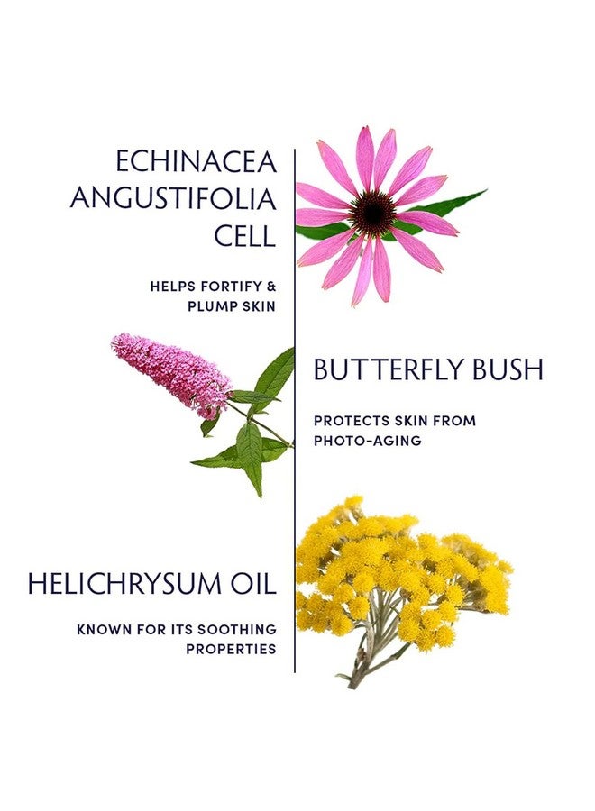 Naturopathica Plant Stem Cell Booster Serum And Daily Wrinkle Remedy With Echinacea 1 Fl Oz - Image 3