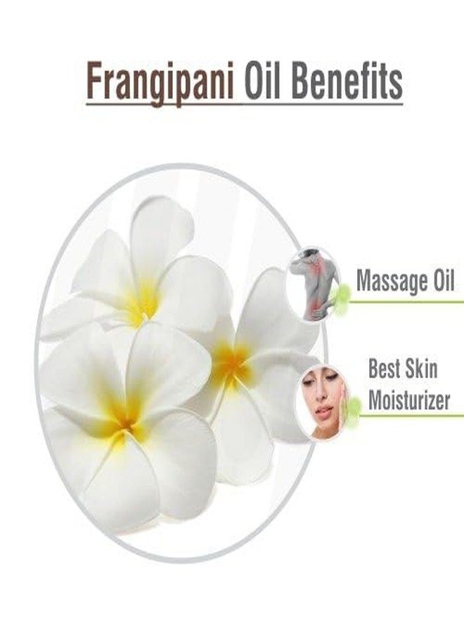 Crysalis Frangipani Oil 30 ml (1.01 fl oz) – Exotic Tropical Floral Aromatic Oil for Luxury Perfumery, Romantic Diffusion Blends & Spa Formulations - Image 5
