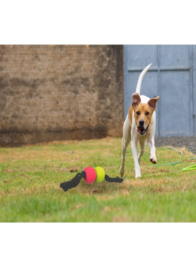 تريكسي: - حبل لعب بالكرات للحيوانات الأليفة | ألعاب شد غير سامة للجراء والكلاب البالغة | مصنوعة من مزيج القطن واللاتكس لمتانة إضافية | تحافظ على نظافة الأسنان - 32 سم - Image 5