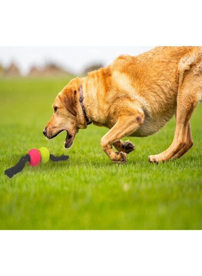 تريكسي: - حبل لعب بالكرات للحيوانات الأليفة | ألعاب شد غير سامة للجراء والكلاب البالغة | مصنوعة من مزيج القطن واللاتكس لمتانة إضافية | تحافظ على نظافة الأسنان - 32 سم - Image 4