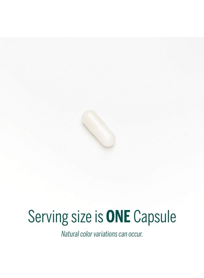 جنيسيس Genestra Brands IntestiBal | مع الزيوت العطرية من الزنجبيل والأفسنتين | 60 كبسولة - Image 3