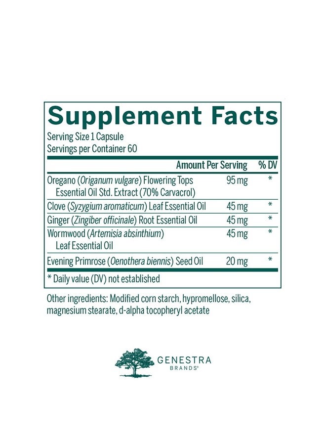 جنيسيس Genestra Brands IntestiBal | مع الزيوت العطرية من الزنجبيل والأفسنتين | 60 كبسولة - Image 2
