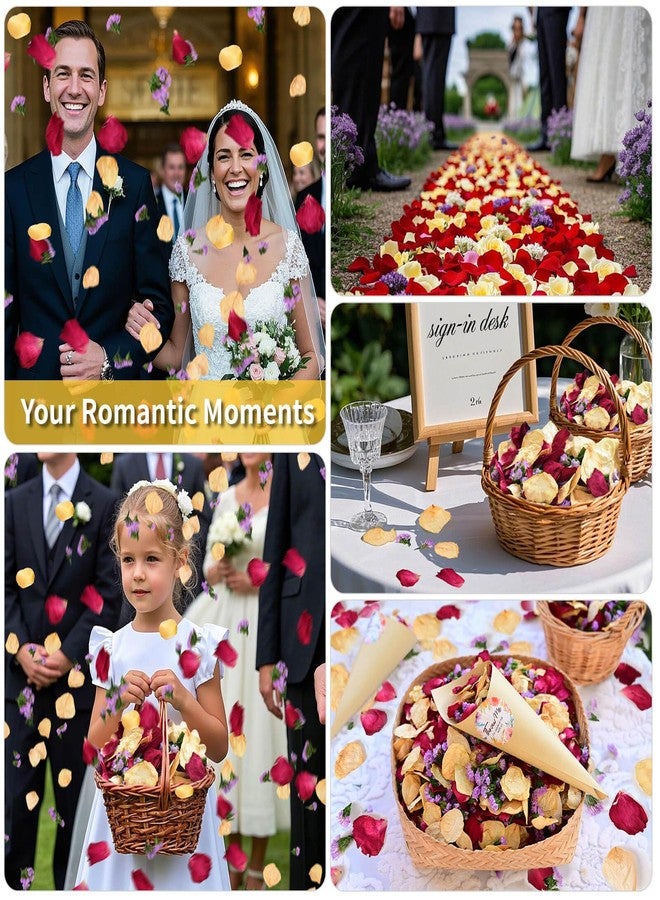 Koceko 20+ Cups Real Dried Rose Petals Biodegradable Wedding Flower Confetti, 2 QT Mixed Yellow Red Roses Petals &Purple Statice for Flower Girl Wedding Bridal Proposal Bath - Image 4