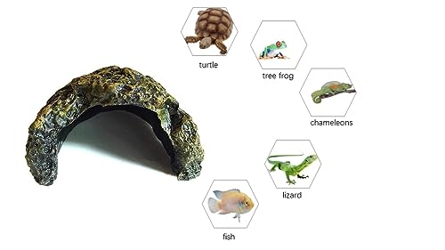Bigwe Reptile Habitat, Turtle Hideout,Water Tank Decoration for Fish, Reptiles, Amphibians,Frogs, Snakes,Lizards,Shrimps, Spiders and Small Animals… - Image 2
