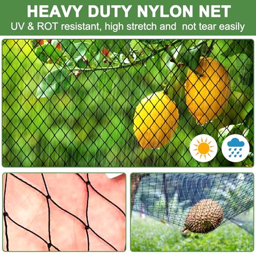 DQS Bird Net - 50' x 50' Garden Netting with 2.4" Square Mesh Protect Fruit Tree, Plant & Vegetables from Poultry, Deer and Pests, Heavy Duty Tree Net for Garden, Farm, Orchard, etc. - Image 2