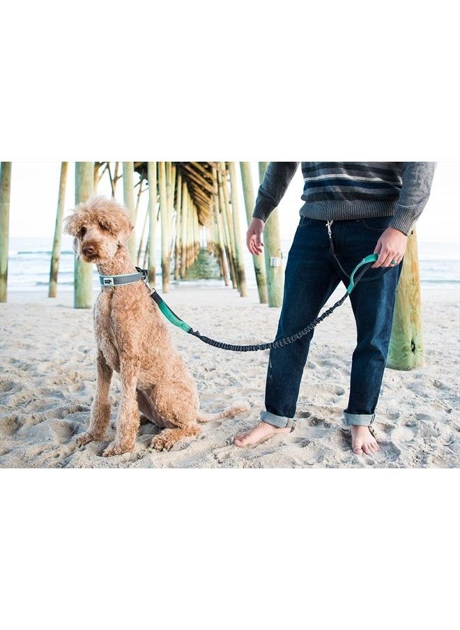 Black Rhino - Premium Hands Free Dog Leash for Running Walking Jogging & Hiking - Adjustable Length Dual Handle Bungee Leash Medium – Large Dogs Neoprene Padded Handles - Running Pouch Included Aqua - Image 1