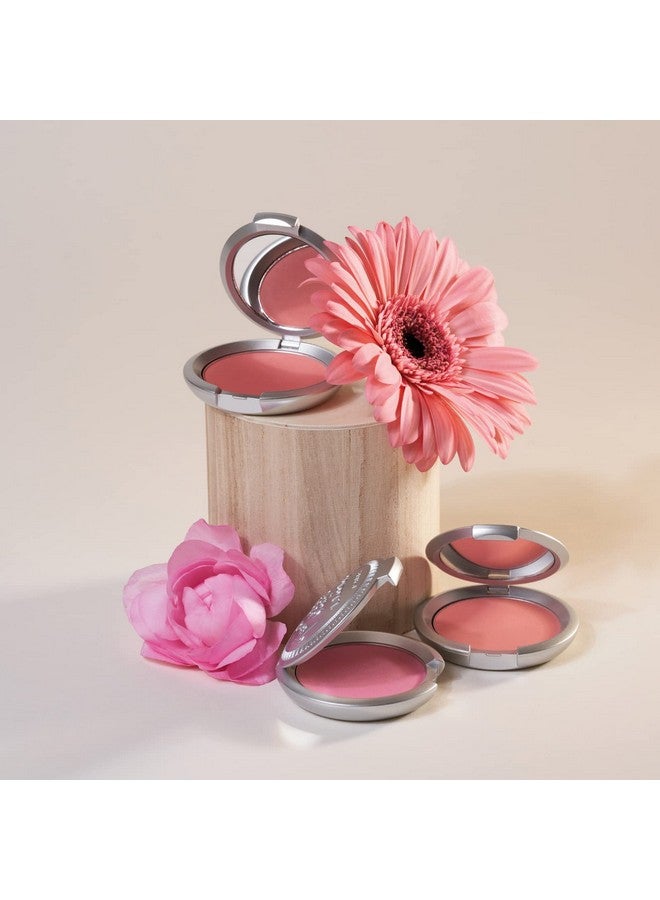 T. LeClerc Powder Blush - Professional High Impact All-Day Wear Flush of Color, Pink Natural & Smooth Makeup Buildable Mineral - No Caking, Blends Easily & Contours Cheeks Made In France (Rose Sable) - Image 4