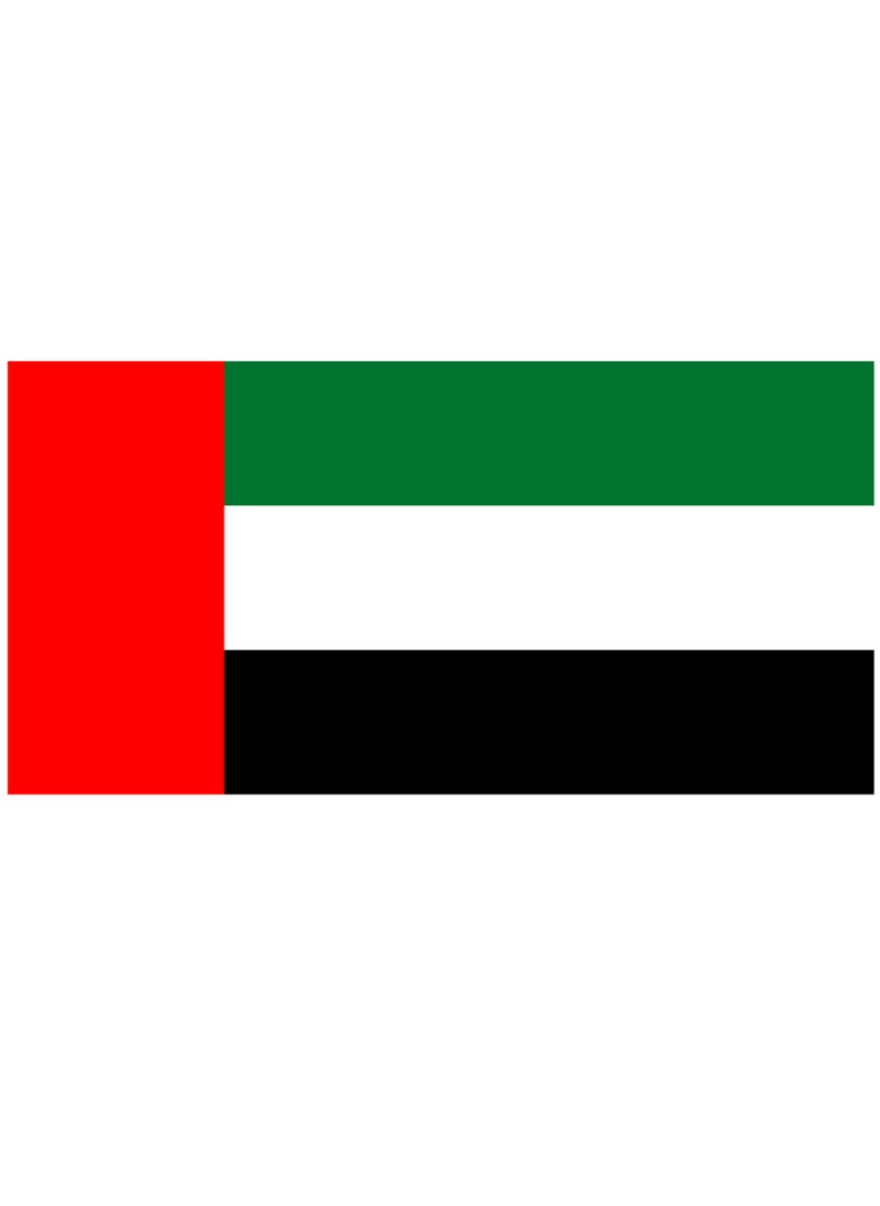 Vitacelli - UAE Flag United Arab Emirates Flag National Day Durable Long Lasting For Outdoor And Indoor Use For Building Home And Car Decoration 90X160CM - Image 1