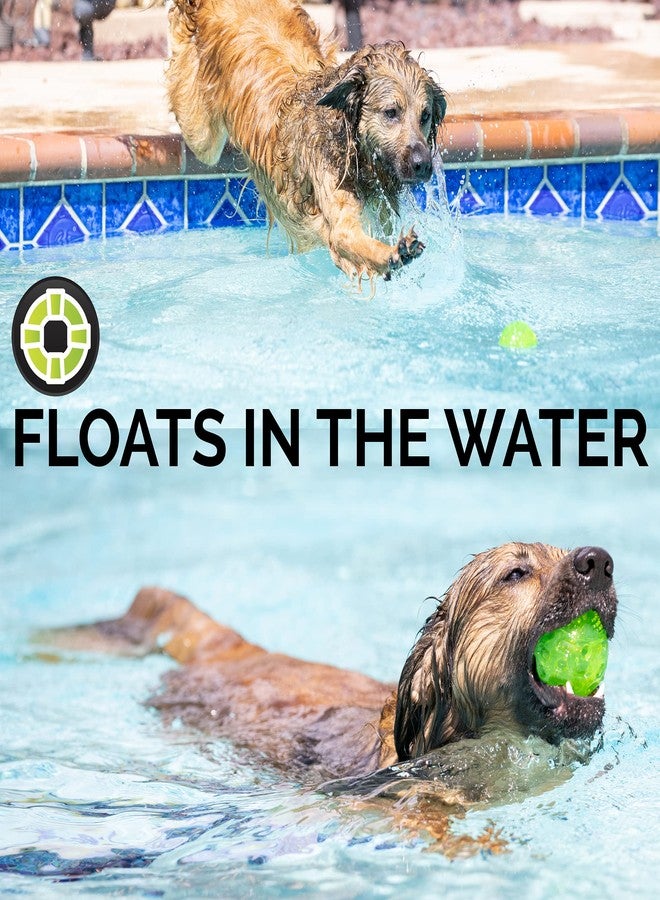 Hyper Pet DuraSqueak Dog Ball Toy, Interactive Dog Toys that Float and Squeaks for Playing, Fetching and Retrieving-Great Alternative to Traditional Tennis Balls Green 2.5 Inch - Image 3