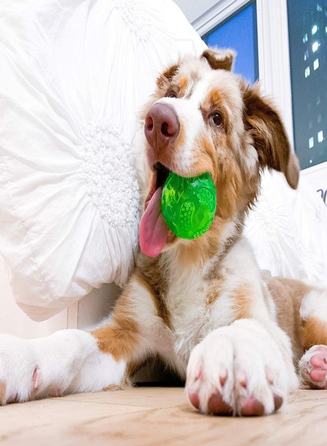 Hyper Pet DuraSqueak Dog Ball Toy, Interactive Dog Toys that Float and Squeaks for Playing, Fetching and Retrieving-Great Alternative to Traditional Tennis Balls Green 2.5 Inch - Image 2
