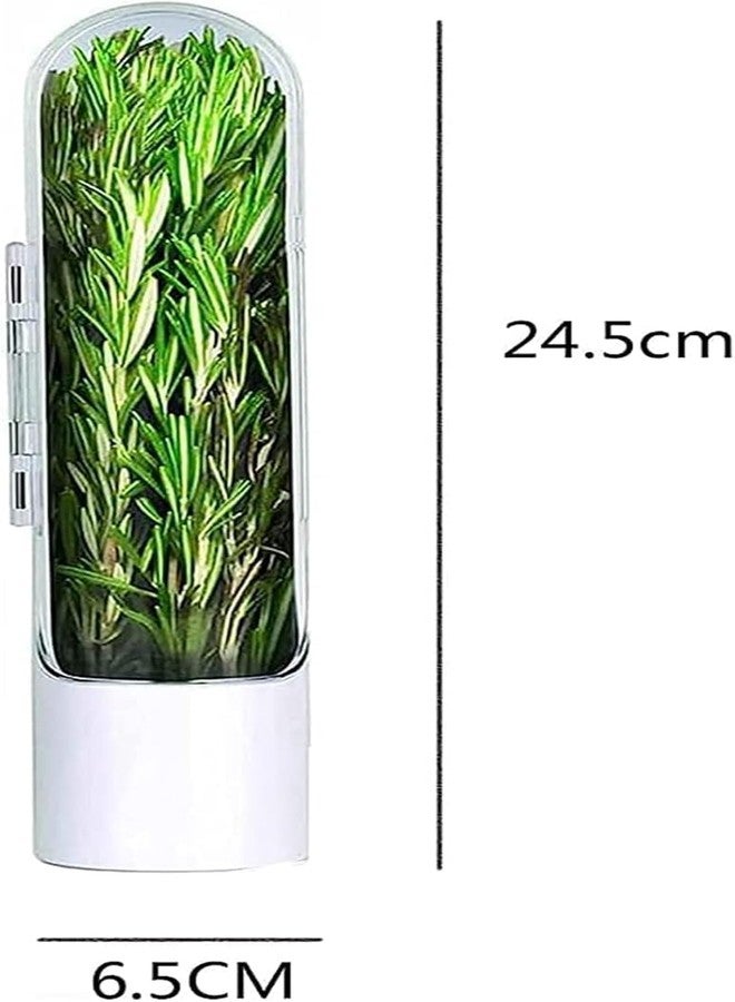 MODUX Fresh Herb Keeper for Refrigerator – Airtight Herb Storage Container | BPA-Free, Transparent Holder Keeps Coriander, Mint, Cilantro, Parsley & More Fresh Longer (1 PCS) - Image 3