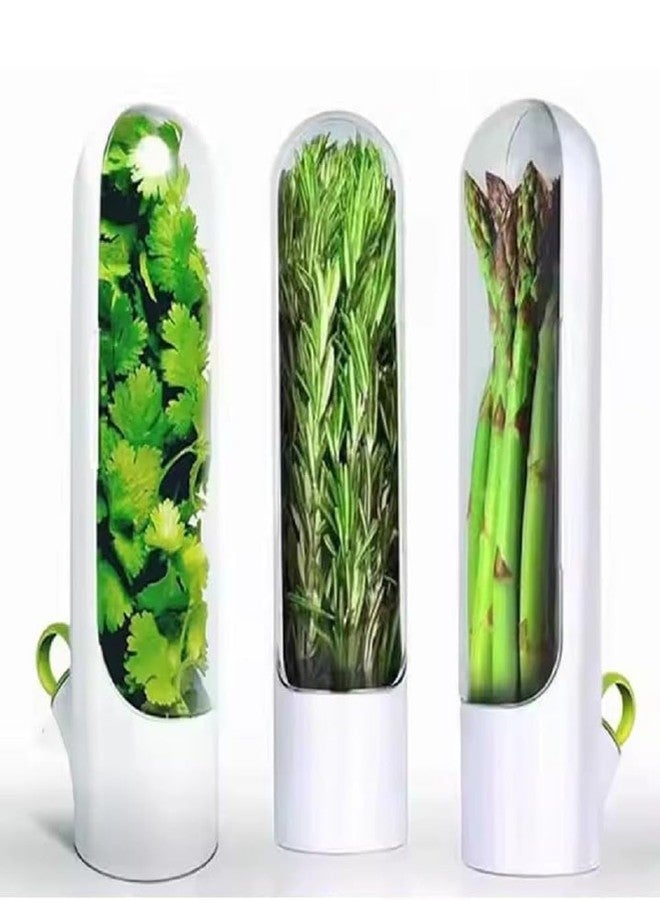 MODUX Fresh Herb Keeper for Refrigerator – Airtight Herb Storage Container | BPA-Free, Transparent Holder Keeps Coriander, Mint, Cilantro, Parsley & More Fresh Longer (1 PCS) - Image 1