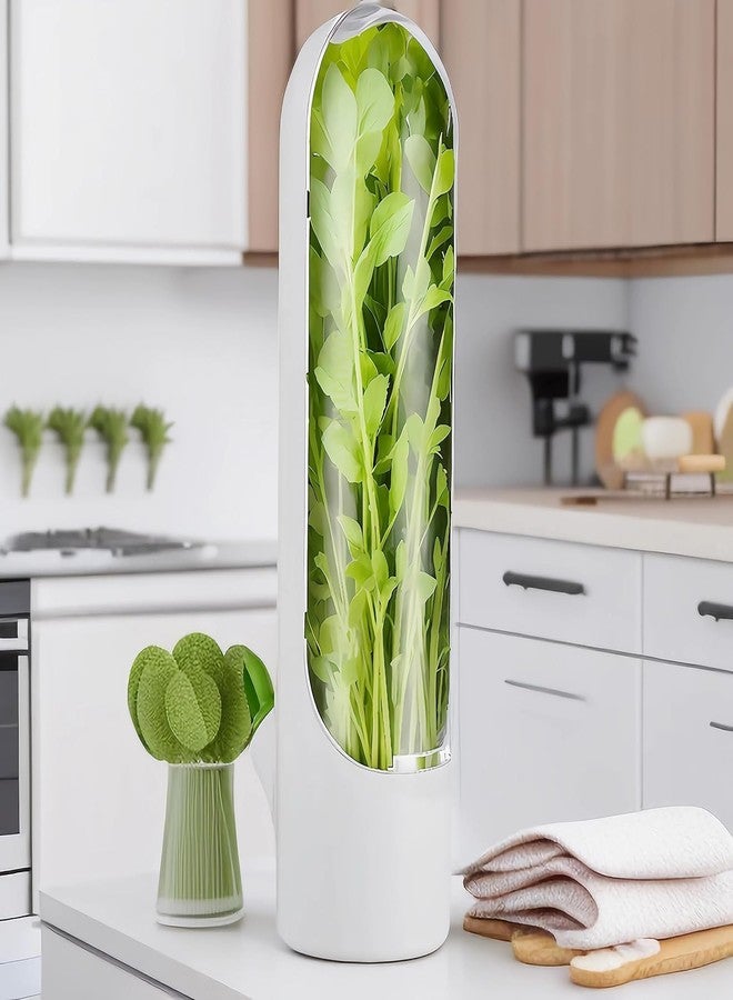 MODUX Fresh Herb Keeper for Refrigerator – Airtight Herb Storage Container | BPA-Free, Transparent Holder Keeps Coriander, Mint, Cilantro, Parsley & More Fresh Longer (1 PCS) - Image 2