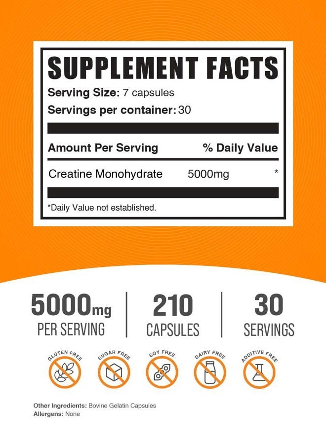 BulkSupplements كبسولات الكرياتين مونوهيدرات من BULKSUPPLEMENTS.COM - 7 كبسولات كرياتين لكل حصة، 5000 ملغ، 210 كبسولة - Image 2