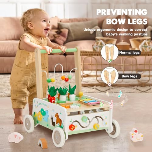 Frogprin Wooden Baby Walker Baby Push Walker Adjustable Speed Baby Walker with Wheel Toddler Activity Center Toys Montessori Farm Walker Toy with Shape Sorter Carrot Harvest for Boys and Girls - Image 5