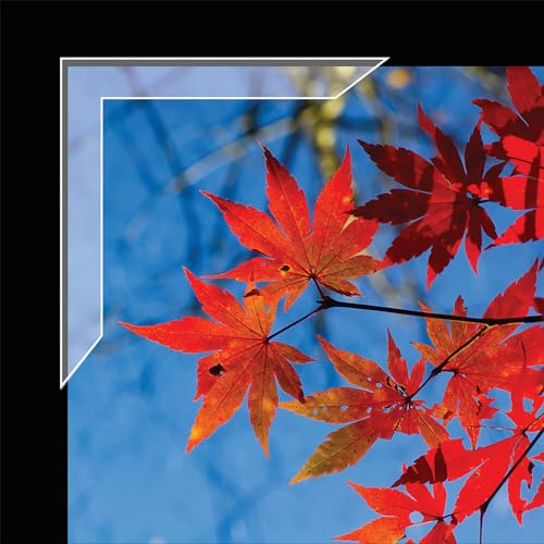 Lineco 1.25" Slimline Polypropylene Mounting Corners. Pack of 72. Self Adhesive, Pressure Sensitive, Non-Yellowing, Mount Pictures, Scrapbooking, DIY, Displaying Photos - Image 3