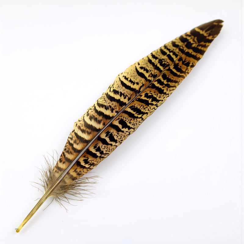 Quick Mount Adhesive Base Feathers No Extra Glue Required Easy Install - Image 5
