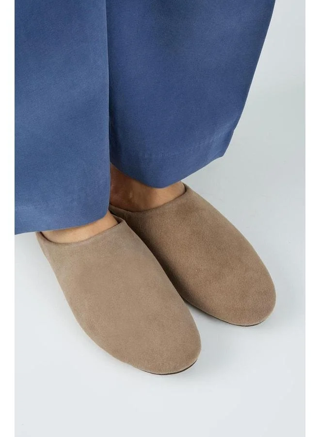 Manijero  Campos Women's Genuine Leather Plain Violet Slippers for Women | Best Price UAE