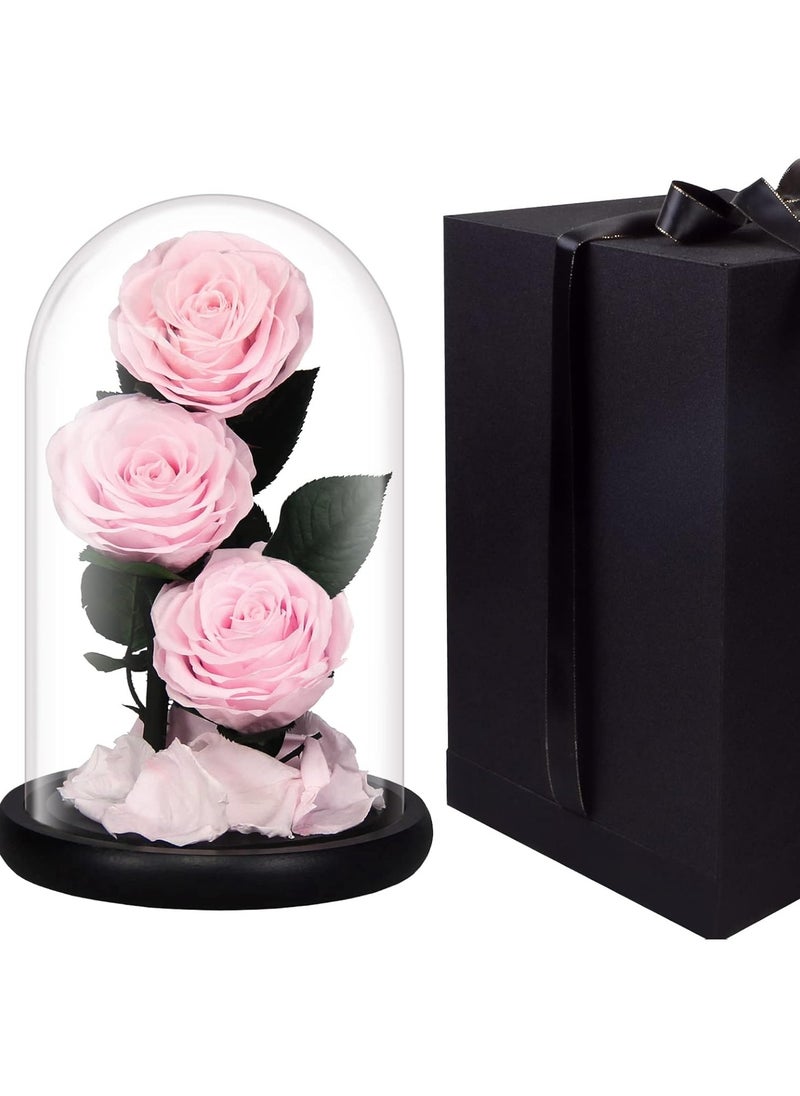 Vitacelli Luxury Preserved Pink Roses in Glass Dome – Real Eternal Flowers with Gift Box for Valentine’s Day, Birthday & Special Occasions  - Image 1